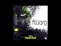 Full On Fluoro Vol. 4 - Full Continuous Mix ᴴᴰ (Mixed By Liquid Soul)