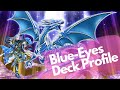 Blue-Eyes White Dragon Budget Deck Profile May 2023