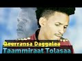 Taammiraat Tolasaa New Ethiopian Oromo music 2024❤️❤️❤️💯🤙
