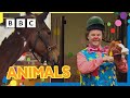 Mr Tumble Loves Animals! 🐴🦆🐶 |  +30 minutes | Mr Tumble and Friends