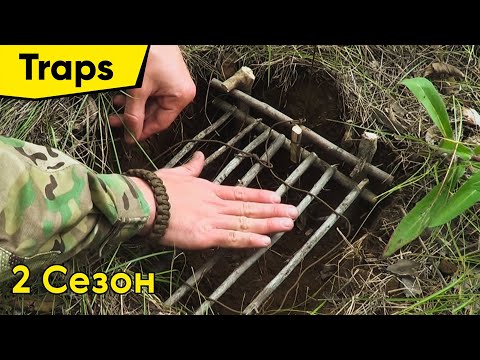способы ловли дикого кабана способы ловли дикого кабана
