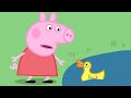 Peppa Gris | Mating av ender | Tegnefilmer for barn