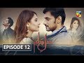 Dil e Jaanam Episode 12 HUM TV Drama