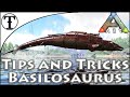 Fast Basilosaurus Taming Guide :: Ark : Survival Evolved Tips and Tricks