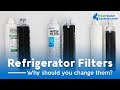 Do I Really Need to Replace My Fridge Filter? The TRUTH on Refrigerator Filter Effectiveness