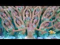Dancing peacocks|CCTV English