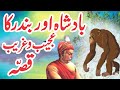 Bandar Aur Badshah Ka Ajeeb Qissa || Urdu Hindi Moral Story