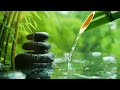 Relaxing Music, Bamboo Water Fountain, Stress Relief, Spa, Meditation, Yoga, Zen, Calming Music #4