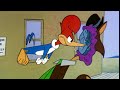 Woody Outsmarts A Fox | 2.5 Hours of Classic Episodes of Woody Woodpecker