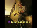Ali birra _ biiftuu tiyyaa Old oromo musics lyrics #oromomusic #ethiopianmusic #lyricvideo