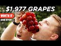 Download $1,977 Japanese Grapes mp4 3gp mp3 videos - waplic