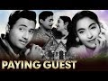 Paying Guest Full Movie | Dev Anand Old Hindi Movie |  Nutan | Old Classic Hindi Movie