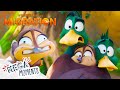 Let's Take To The Sky! 🦅🦆 | Migration | 10 Minute Extended Preview | Movie Moments | Mega Moments