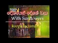 Deshayen Deshe Roopa Indumathi With Sunflowers