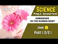 SCIENCE | Prep.3 | Hormones in the Human Body #2 | Unit 4