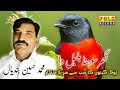 Muhammad Hussain Bandial Latest Saraiki Song | TP Gold Song 2020 | M.Hussain Bandial Old Folk Song