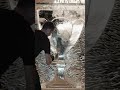 Baccarat Harcourt Glass Ice Sculpture
