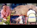 Brahmanandam And kota Srinivasa Rao Hilarious Comedy Scene | Telugu Comedy Scene | Telugu Videos