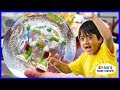 Download Freezing Our Toys Science Experiments!!! mp4 3gp mp3 videos - waplic