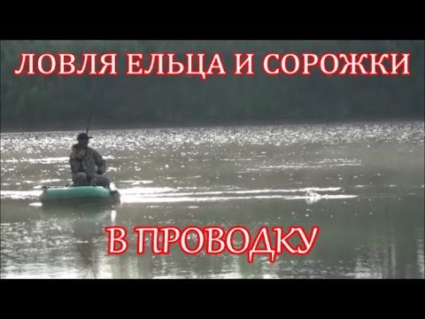 сорога весной на поплавочную удочку сорога весной на поплавочную удочку