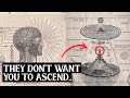 How to Know if You're Ascending to The 5th Dimension | 7 Signs You’re Shifting