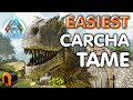 EASIEST Carcharodontosaurus TAME EVER! Ark Survival Ascended