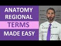 Regional Terms Anatomy - Body Parts Name | Nursing Medical Terminology Made Easy