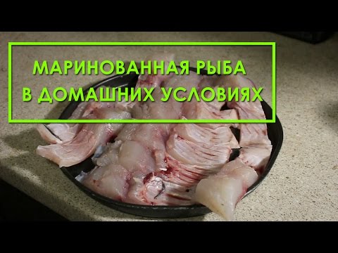 Засолить карпа в домашних условиях 98