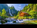 Beautiful and relaxing music|Melodies merge to soothe the soul#relaxing music