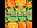 Bok van Blerk x Appel_Lemoene(DJ TOY Remix)2022