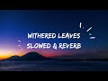 🍂 Withered Leaves Nasheed Slowed & Reverb 🎶