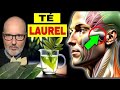 DISEASES that HEAL with LAUREL TEA (HOW TO USE IT)