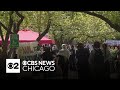 University of Chicago, DePaul join list of pro-Palestinian tent encampments