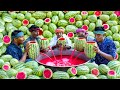 WATERMELON JUICE | Farm Fresh Fruit Juice Making | Watermelon Craft | Watermelon Experiment