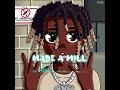 YNW BSlime - MADE A MILL (audio)