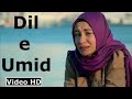 Dil-E-Umeed Tora Hai Kisi Ne Original full Song, (Apni Kahani Kaise Kahein... #asifali