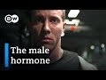Testosterone — new discoveries about the male hormone | DW Documentary