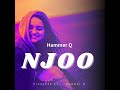 Hammer Q __Njoo acoustic