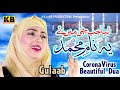 Naat - Liya Jab Se Mai Ne - Gulaab - 2020 Beautiful Kalam - Kb Production