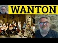 🔵  Wanton Meaning - Wanton Examples - Wanton in a Sentence - Wanton Definition