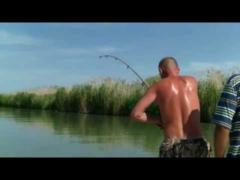 видео рыбалка сетями казахстан видео рыбалка сетями казахстан