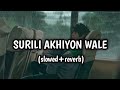 Surili akhiyon wale (slowed+reverb)  | Veer | Salman Khan | Zarine Khan |