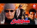 Sultaan Action Movie | सुल्तान मूवी {HD} Mithun Chakraborty Action Movies | Bollywood Action Movies