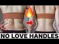 Love Handle Workout | 8 min Abs & Obliques Burn Home Workout