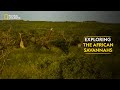 Exploring the African Savannahs | Dead by Dawn | Full Episode | S01-E03 | National Geographic