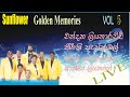 Sunflower Golden Memories Vol 5
