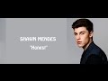 Shawn Mendes - Honest (lyrics)