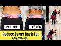Reduce Lower Back Size | Back Fat | Love Handles |7 Day Challenge | Somya Luhadia