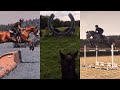 Showjumping and Eventing TikTok Compilation