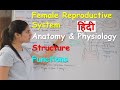 Female reproductive system in Hindi | external genitalia Area | Internal genitalia area | Functions